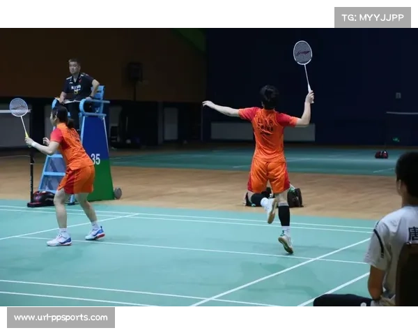 法国文化部将羽毛球列为国家重点发展项目助力运动普及与国际影响力提升